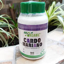 Gray helmet for bikers