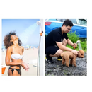 Regadera Portatil - Camping