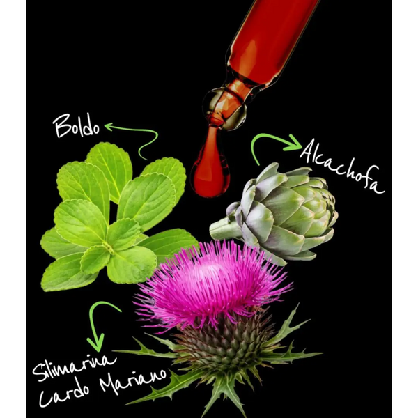 Imagen de Resultados