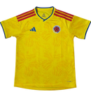 Camiseta importada FAN - Selección Colombia 2026