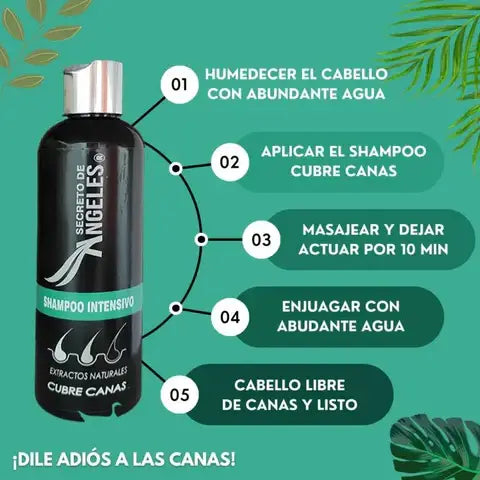 Aroma y textura