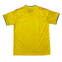 Camiseta importada FAN - Selección Colombia 2026