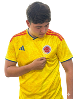 Camiseta importada FAN - Selección Colombia 2026