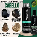 Shampo Canas Secretox + 2 OBSEQ Belleza