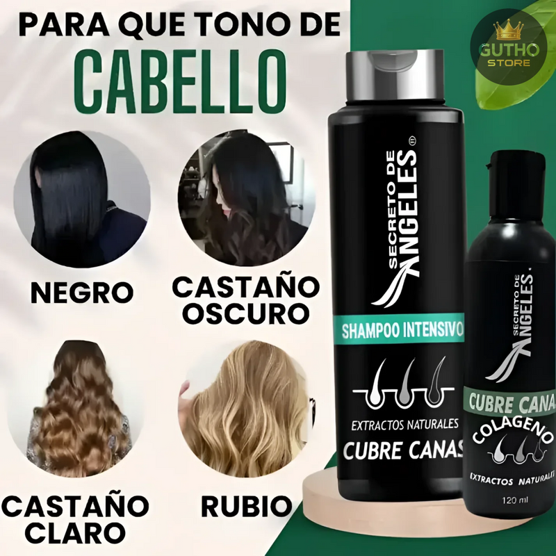 Shampo Canas Secretox + 2 OBSEQ Belleza