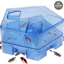 Trampa Para Cucarachas - Hogar