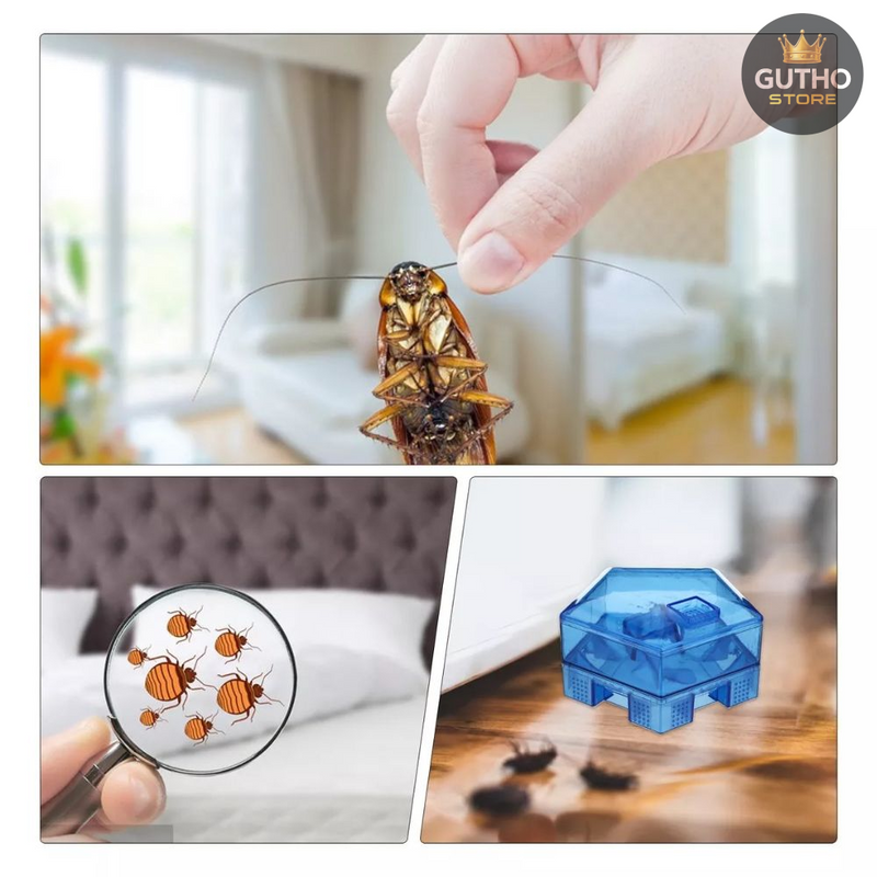 Trampa Para Cucarachas - Hogar